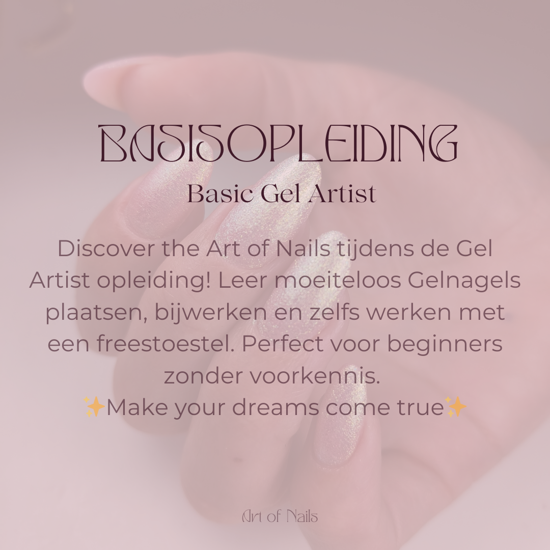 Basisopleiding 'Basic Gel Artist'
