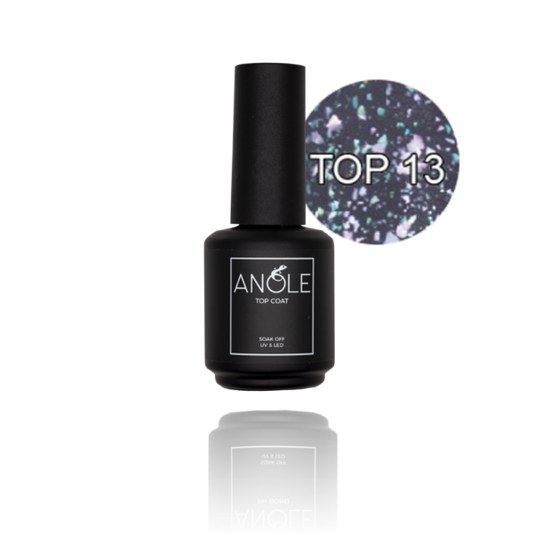 #13 TOPCOAT (NO WIPE) fles 15ml