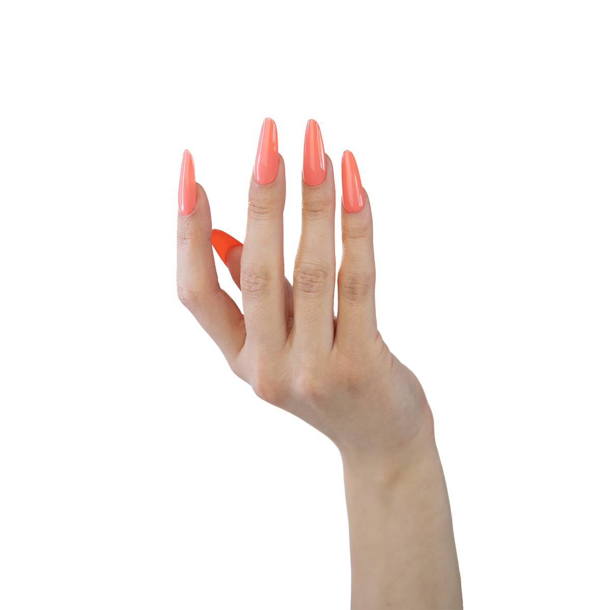 Gel Polish 856